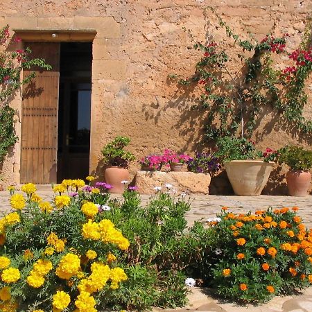 Finca Sa Cova Vella Manacor  Extérieur photo