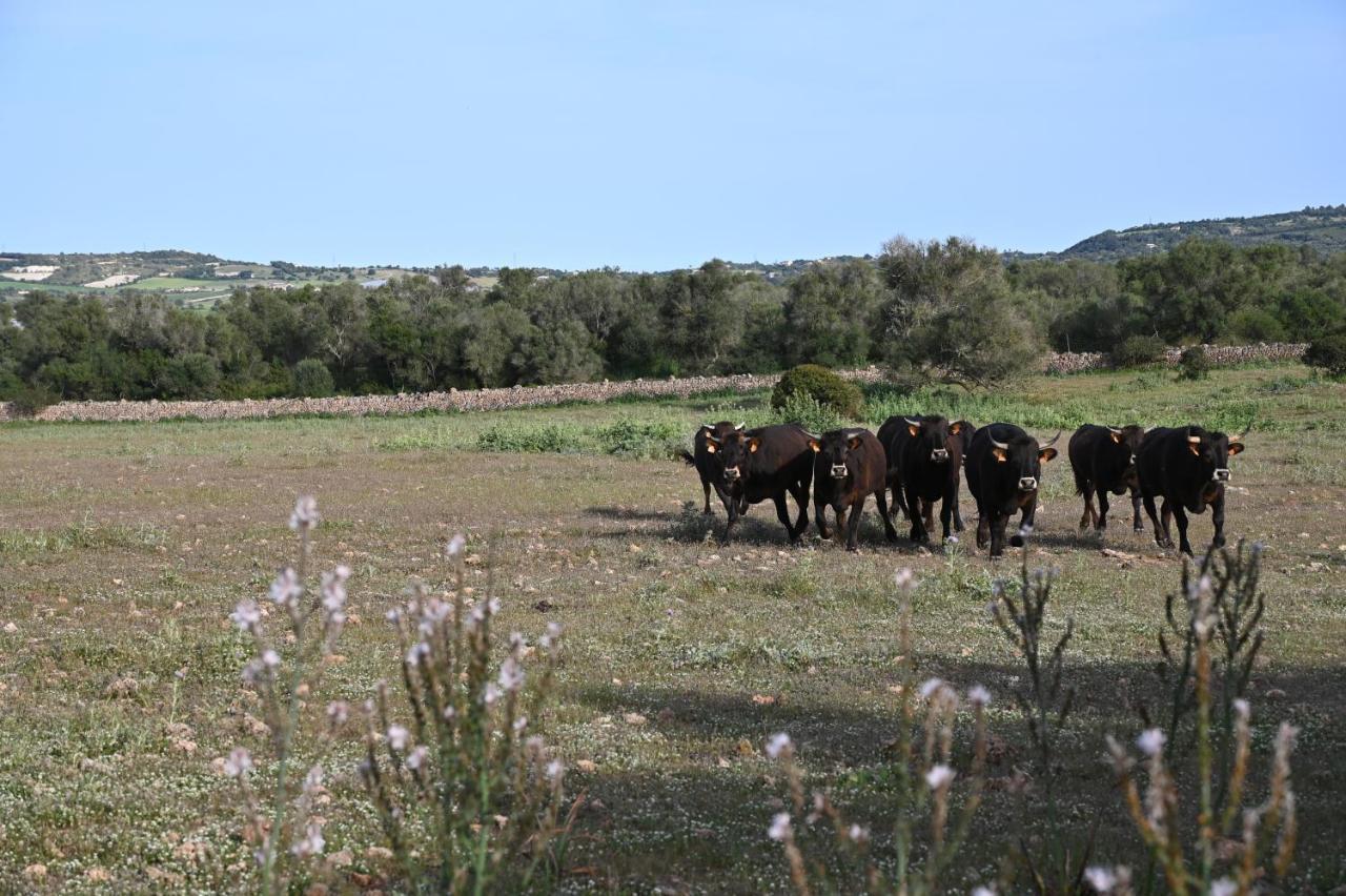 Finca Sa Cova Vella Manacor  Extérieur photo