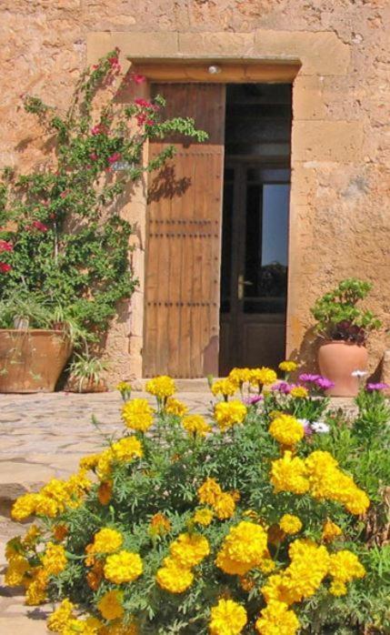 Finca Sa Cova Vella Manacor  Extérieur photo