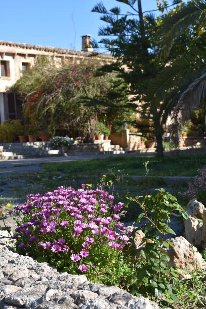Finca Sa Cova Vella Manacor  Extérieur photo