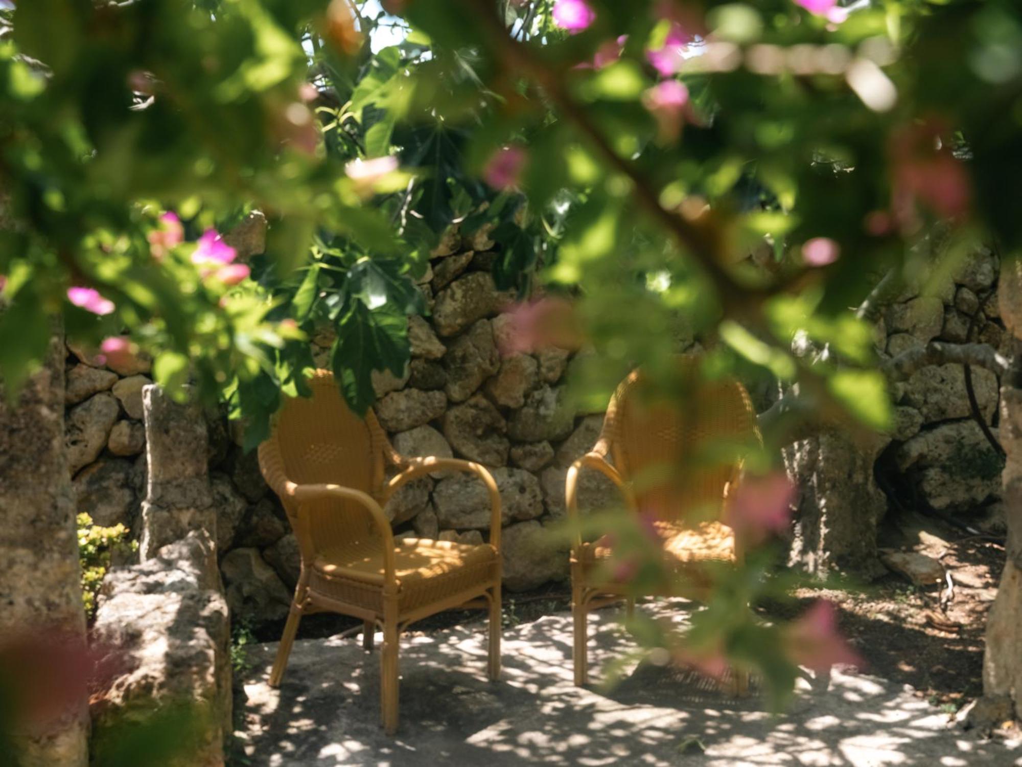 Finca Sa Cova Vella Manacor  Extérieur photo