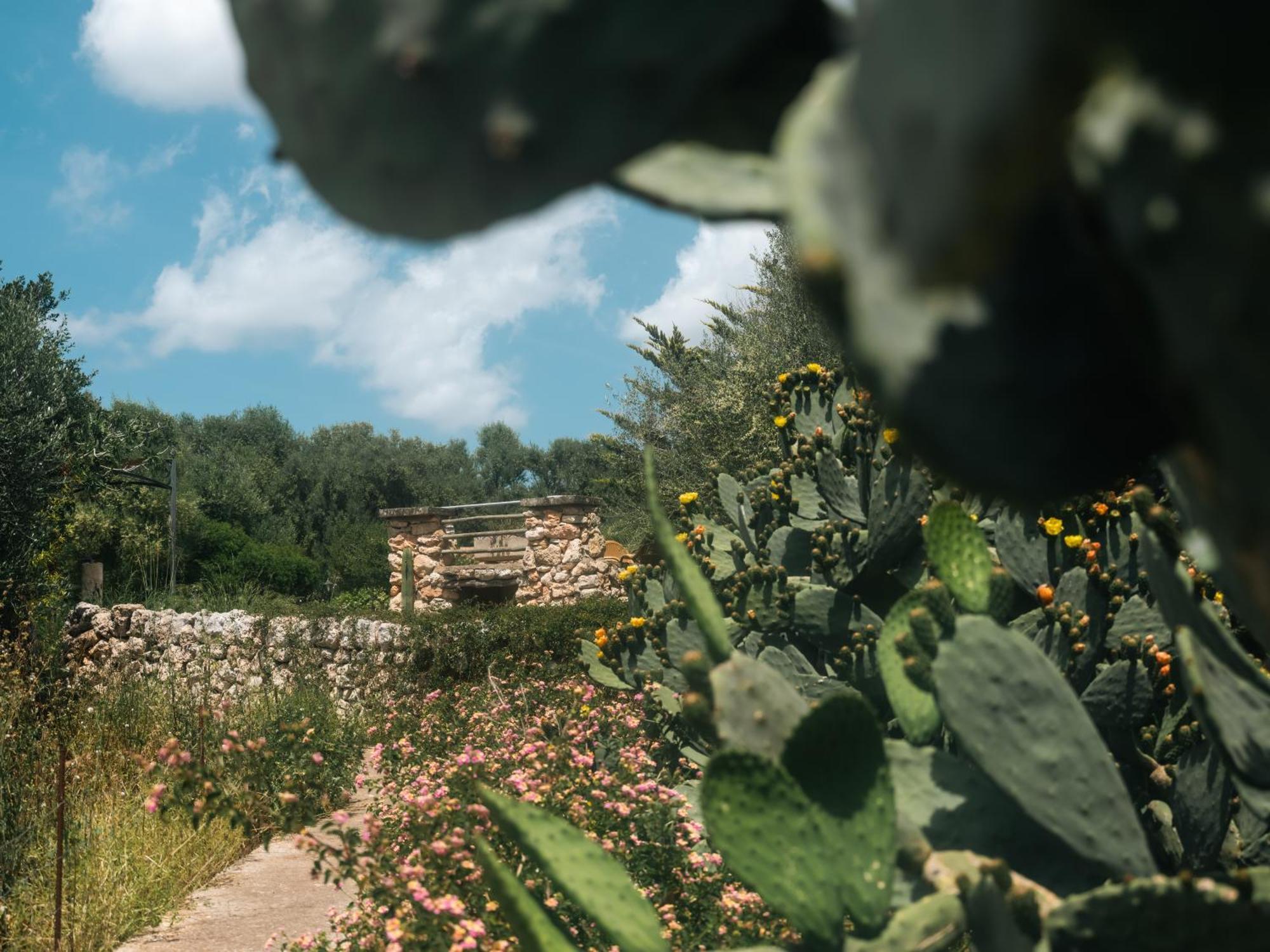 Finca Sa Cova Vella Manacor  Extérieur photo