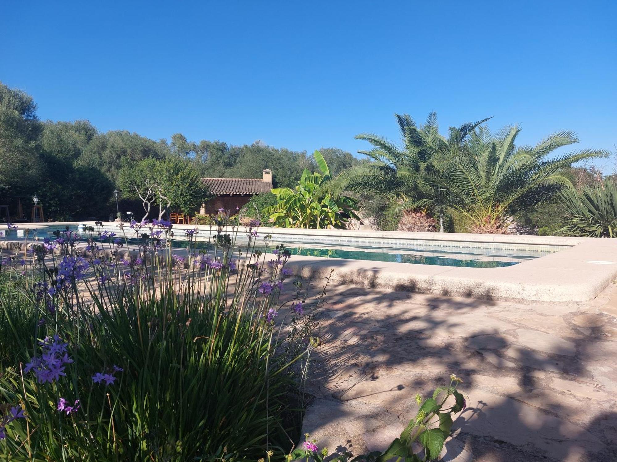 Finca Sa Cova Vella Manacor  Extérieur photo