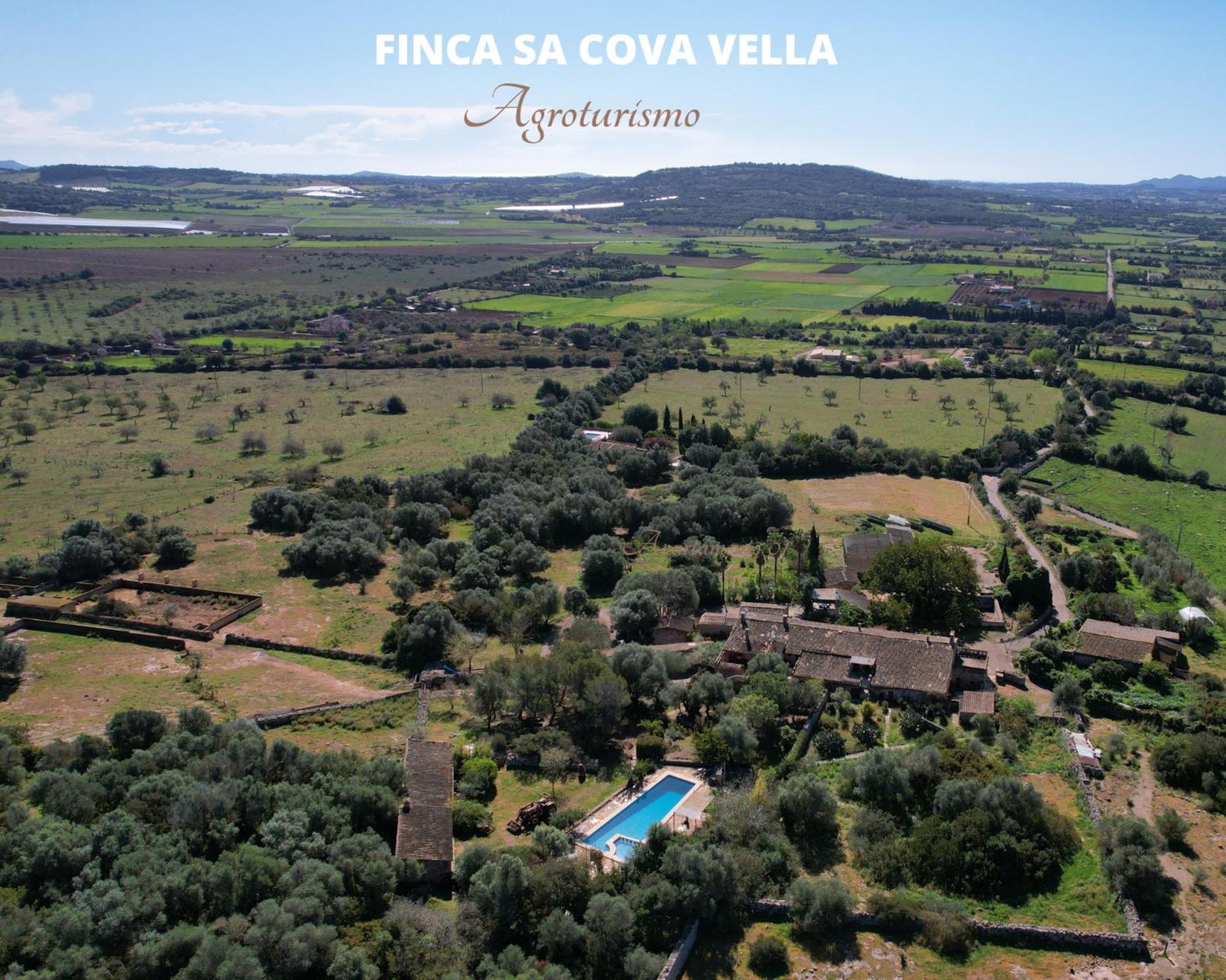 Finca Sa Cova Vella Manacor  Extérieur photo
