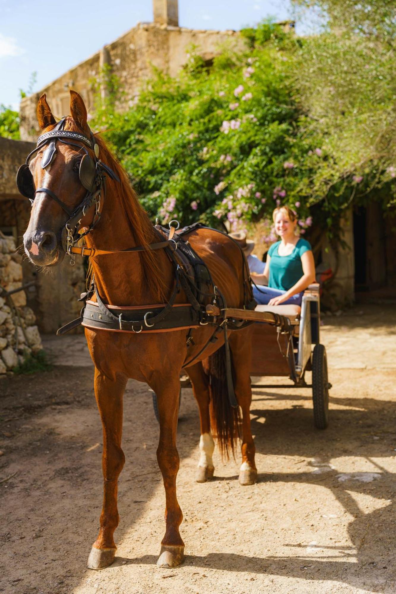 Finca Sa Cova Vella Manacor  Extérieur photo