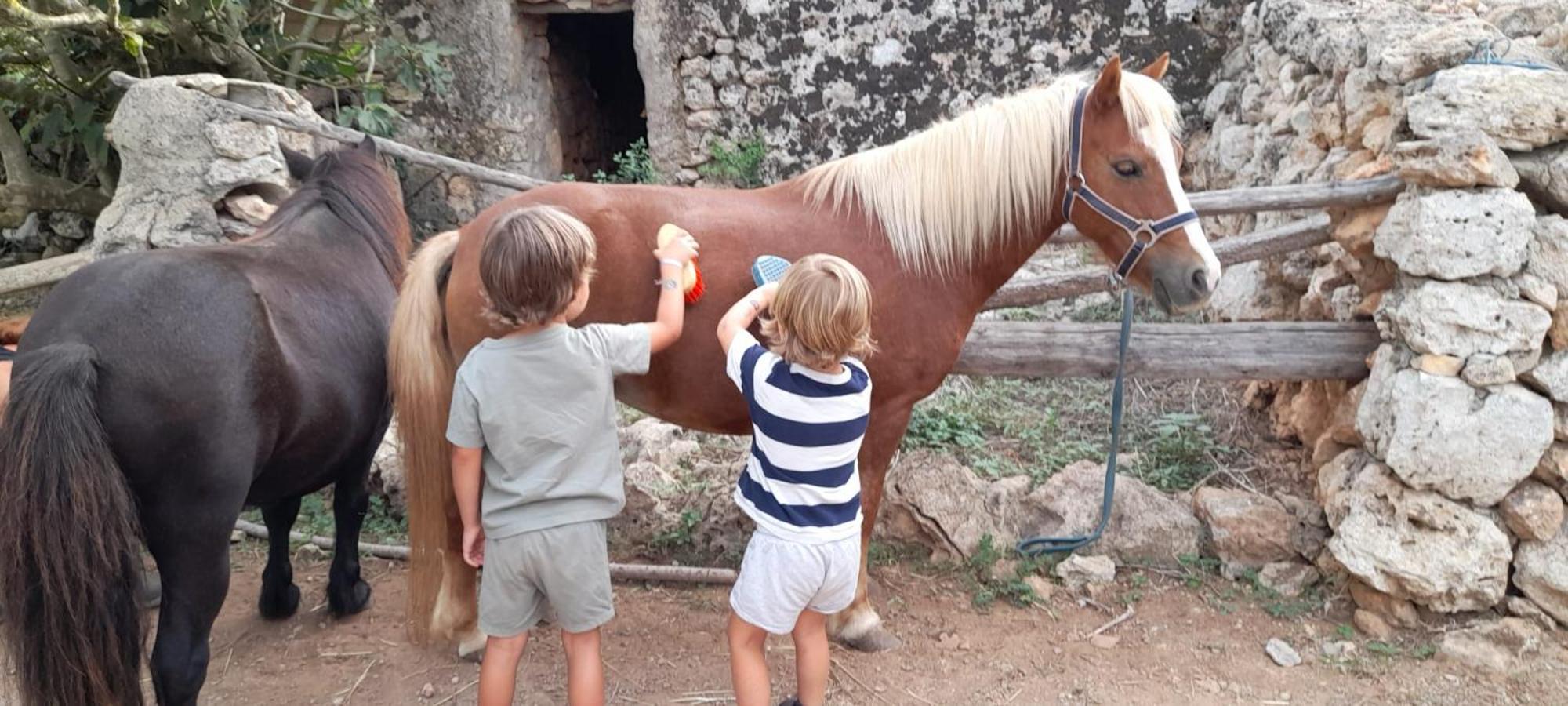 Finca Sa Cova Vella Manacor  Extérieur photo